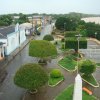 borba amazonas 2